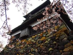 桜サク丸岡城へ