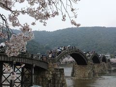2014年春　桜の錦帯橋