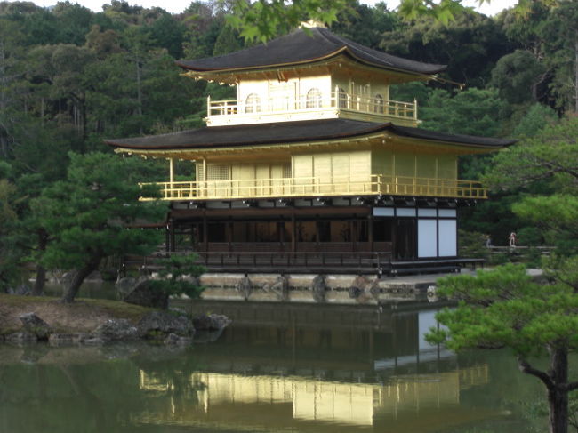 京都の旅編。金閣寺をこれよりご案内いたします。<br />すごい金の輝き。一時、消失してまた再建されましたが、やはり日本が世界誇れる歴史建築遺産ですね！<br />