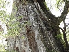 種子島の旅行記