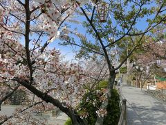 青春１８きっぷ一人旅　２日目　③尾道　千光寺公園ほか