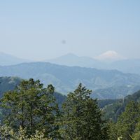 久々の高尾登山