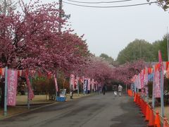 708 下野（しもつけ）国分寺跡、下野国分尼寺跡、天平の丘公園　栃木県下野市国分寺