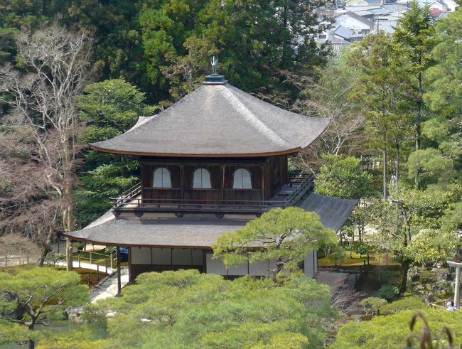 2014.3フィンランドの友人家族と熱海・京都・奈良旅行4-銀閣寺と白川疏水の桜