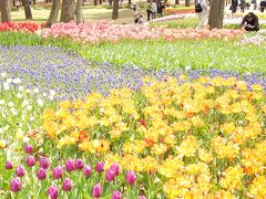 国営ひたち海浜公園