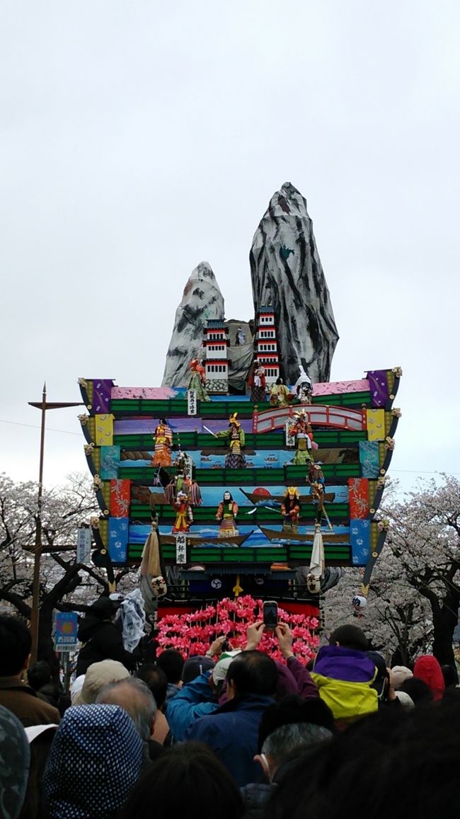 今年は満開のさくらまつりに!