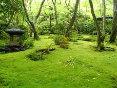 青時雨の嵐山と嵯峨野めぐり