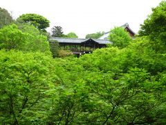 東福寺の新緑を浴びよう・・・・・・・・・・緑の力