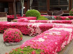 紅白のツツジが日本庭園を彩る心月院