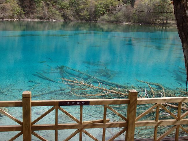 姉と旅を企画したのがほんの１カ月前。予算や日程にあったのが今回の中国旅行でした。<br />姉とはアラスカ以来、２年ぶりの海外旅行です。<br />一度は行ってみたかった九寨溝と黄龍。そしてパンダとご対面！<br /><br />実は昨年５月に甲状腺の病気が見つかり…<br />現在も投薬治療と月１通院が続いている状態。<br />病院からは「絶対に無理をしない事。」という助言付きでOKがでました。<br /><br />その為か高地が心配で…。体力的にも体調的にも不安が一杯でしたが、<br />何より気を遣わなくていられる姉と一緒なので大丈夫かな。。と思い、行ってきました。<br /><br />ばたばた珍道中でしたけど。。。<br />思い出に残る旅になりました！！<br /><br />ちなみに一緒に行った姉は黄龍の後半、五彩池の帰りから高山病の兆候が出ていました。<br />ずっと頭痛がひどく辛そうでした。<br /><br />私が感じた高山病は「耳が聞こえにくくなる」事です。<br />九寨溝に到着してからずっとだったのですが、<br />水の中にいるみたいで周りの言葉が聞き取りにくかったです。<br /><br />黄龍の後半は、隣の姉の声もほとんど聞こえていなかったようです。<br />元々電車のトンネルやエレベーター、飛行機の着陸などに耳が痛くなる体質なので、耳に症状が出たのかもしれません。<br /><br />低いところにおりてくれば高山病は治るようですが、高山病はあなどれません。<br />黄龍では、自力で動けずにタンカで運ばれている方もいました。<br /><br />前日はしっかり睡眠をとる。<br />高地では大声は出さない。<br />走り出さない。<br />等など、体質や体調によっては色々あるかと思いますが<br />何よりは無理しない事が一番だと思います。<br /><br />ちなみに、黄龍を見終わり出口を出たところで脈拍を測ったら<br />なんと１分間で１５０ありました。。。<br />でも…バセドウ病でも九寨溝と黄龍、ちゃんと行って来れました！！！<br /><br />それにしても、噂では聞いていた中国のトイレ事情は衝撃でした。<br />基本的にはトイレットペーパーは据え付けられて無く…。<br />↑WANDAというデパートでさえなかったです。<br /><br />九寨溝や黄龍までいくと、鍵がかからないなんて良いほう。<br />扉があったらラッキーくらいでした。。。<br />いやー。衝撃的！！