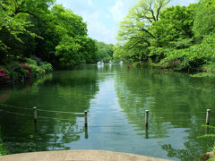 大正　昭和の時代から庶民の行楽地　井の頭公園の春　下