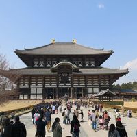 生後６か月の子供と行く3泊4日の奈良旅行＋里帰り　～3日目　20年ぶりの大仏はやっぱりでかかった編～