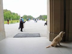 ミュンヘン市街　ぶらっと散歩　第４回　ニンフェンブルク城