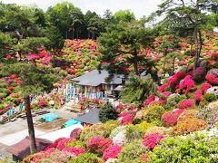 まるでパッチワーク！東京･青梅「塩船観音寺」満開ツツジ＆日本の滝百選・新緑の「払沢の滝」