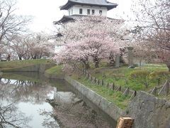 松前の花見（桜）見学3日目