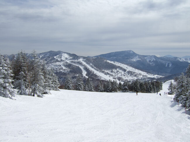 初めて長野・志賀高原スキー場を訪れて滑り倒した。