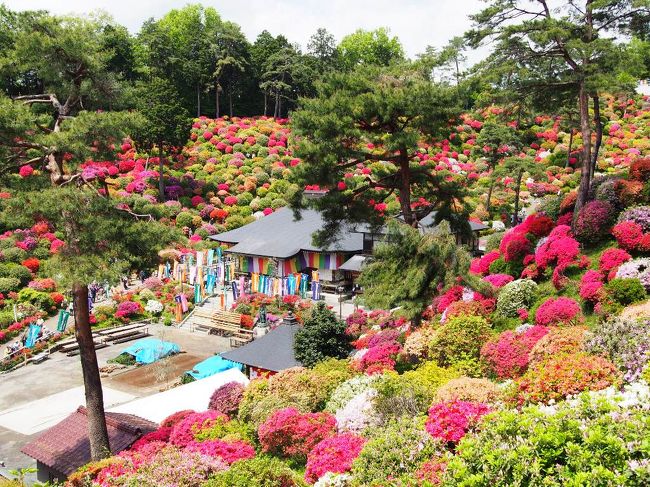 まるでパッチワーク 東京 青梅 塩船観音寺 満開ツツジ 日本の滝百選 新緑の 払沢の滝 青梅 東京 の旅行記 ブログ By みかりさん フォートラベル まるでパッチワーク 東京 青梅 塩船観音寺 満開ツツジ 日本の滝百選 新緑の 払沢の滝 青梅 東京 の旅行記 ブログ By みかりさん フォートラベル