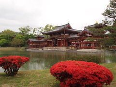 雨の京都宇治　平等院鳳凰堂