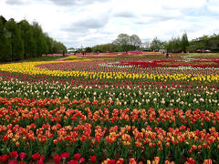 70万本のチューリップの花！・・旅いつまでも・・