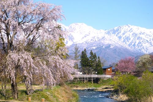 春の北アルプス連山へドライブ～安曇野・大町・白馬～』長野県の旅行記