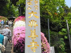  佐賀県基山の大興善寺（つつじ寺）へ行ってきました。