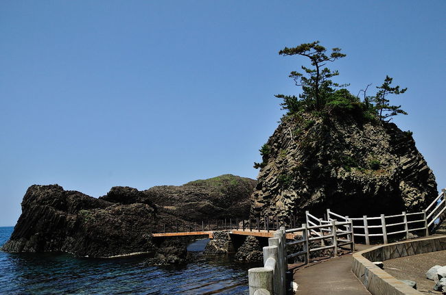 2014年GWの旅は休暇村越前三国オートキャンプ場へ2泊3日で行って来ました。<br />天気は2日目が快晴でキャンプ場近所の越前松島海岸に行きました。ここも東尋坊と同じで火山岩の隆起による岩の芸術を見ることが出来ます。東尋坊のように観光地化されていませんので静かに景色を楽しむことが出来ます。<br />