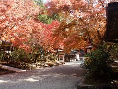 2013奈良へ行く～その3（大野寺、室生寺、長谷寺）～