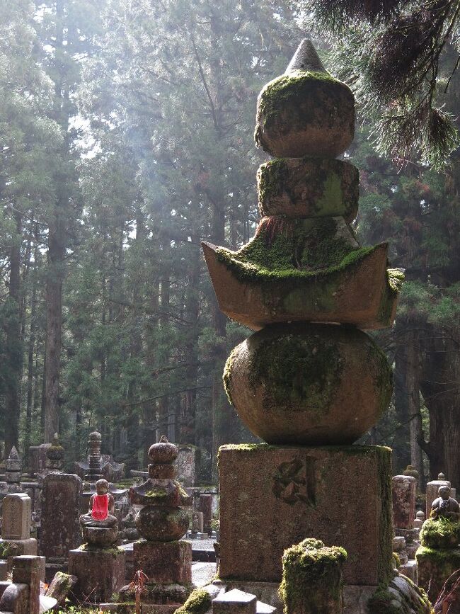 高野山へ向かう。<br /><br />昨年の秋、奈良・吉野を廻っていて次はここだと決めていた。<br />まず関空へ飛び、電車、ケーブル、バスを乗り継いで高野山へ。<br />真言密教の開祖、弘法大師は長安青龍寺からずっと気になっていて、とてつもなく大きな存在だ。　名だたる大名の墓所が立ち並ぶ参道を、奥の院までゆっくりと歩いてみたかった。<br />最近熊野古道などと共に世界遺産に指定されたせいか、外人さんがやたら目立つ。　ケーブルやバスに乗れば９割がた欧米人だ。(中韓はあまりみかけず）<br />桜がほぼ終わり、これからはシャクナゲが咲いてくる。　こちらの石楠花はピンク色がとても鮮やかだ。<br />高野山で２泊し、橿原・明日香村に２泊、そして伊勢神宮にお参りして帰京する。　天気は初日が雨で、その後はずっと晴れそうだ。<br /><br />さて出羽三山と二荒山、高野山に参ったからにはいつでも死ねる、という覚悟ができたことになる。　高野山には四国８８の遍路を廻った総仕上げとして来る方が多いようだ。　ここから吉野や熊野へ熊野古道で結ばれている。<br /><br />・青巌のみどりも若し高野山<br /><br />・五月雨杉ぞ木立の赤地蔵　　<br /><br />・苅萱（かるかや）の紅石楠花に見送られ　　　＜悠遊人＞<br /><br />・歩いたり奈良から京へ一つ道　　　＜知道＞