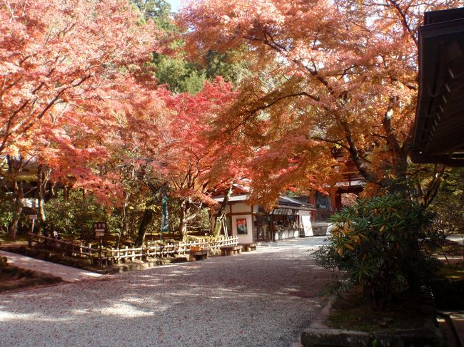 奈良旅行2日目です。<br /><br />今日は朝から電車に乗り、室生寺などを巡ります。<br /><br /><br />室生寺へは交通手段が少なく、電車やバスの時間を綿密に調べ上げていったのですが・・・・・