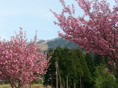 立山国際ホテル