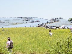 なめていたよ　ひたちなか海浜公園