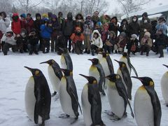 雪祭り・流氷・ペンギンさんのお散歩・・盛りだくさんの北海道の旅