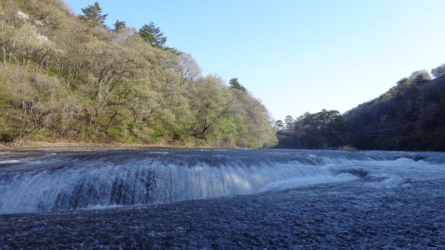 ＧＷまっただ中の５月４日（日曜日）。<br />群馬県沼田市にある吹割の滝と、渋川市にある赤城自然園に行ってきました。<br /><br />この日は恐らく、日本で最も多くの人が行楽に出かける日。<br />ということで、人ごみ嫌いの私は早朝すぐに家を出ることにしました。<br />結果的に、行きはほとんど渋滞に見舞われることなく目的に着くことができました。<br /><br />特に早朝の赤城山はスイスイ車が進むので爽快でした。<br />皆さんもゴールデンウィークの旅行は朝早くに出発することをお勧めします。