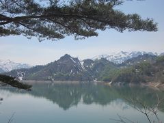 奥会津の桜に逢いに行きました。（田島～只見）