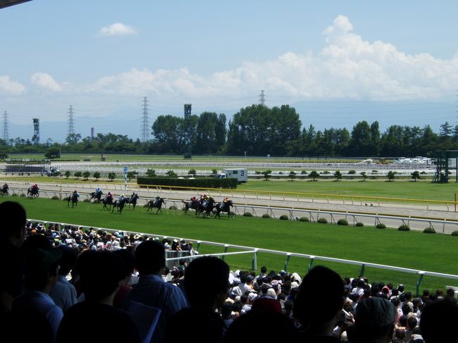 夏の恒例となりつつあるアイビスサマーダッシュ観戦（新潟競馬場）です。<br />写真は殆ど撮っていません。<br />