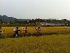 すっかり魅了された安東河回村