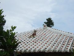 ＧＷの八重山諸島（石垣島、竹富島、西表島）へ６泊７日の旅【２】石垣島（やまもと、石垣島鍾乳洞、等）