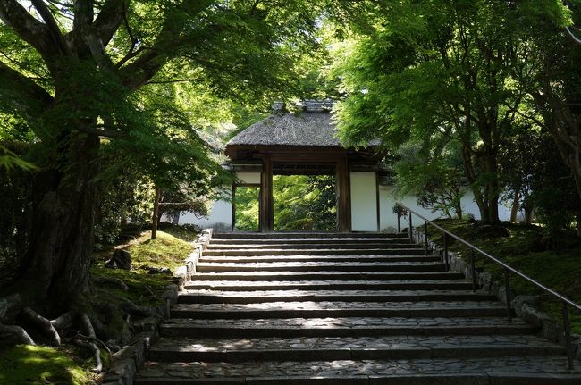 2014年5月ゴールデンウィーク、新緑の京都の旅です。事前に御所の見学予約（短時間コース）をし、新幹線利用で１泊２日の京都の旅に行ってきました。<br />(1日目）京都御所・・護王神社・・醍醐寺・・無鄰菴・・東山散策<br />(2日目）哲学の道・・法然院・・安楽寺・・青蓮院・・知恩院・・祇園八坂散策<br /><br />