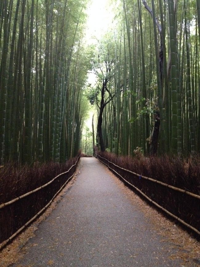父、母の三人で嵐山へ一泊旅行をしました。<br /><br />普段は日帰りで京都へ行くので、夜や早朝の京都も楽しめて新鮮な旅行でした！
