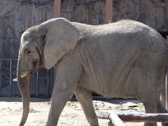 東武動物公園