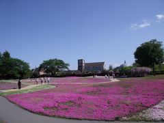 2014花見紀行『館林ザ・トレジャーズガーデン』芝桜