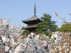 春満載の京都旅行