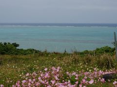 初離島!!２泊３日八重山旅行～3日目～