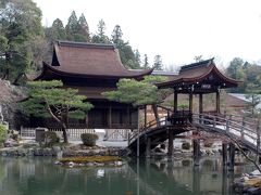 虎渓山永保寺・多治見の桜