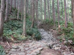 熊野古道～ツヅラト峠