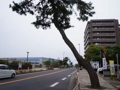 目指せ京都三条大橋！　　東海道ウォーク　　3回目　　戸塚宿～大磯宿