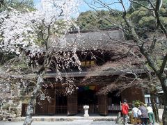 定光寺と桜