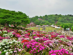 鯖江（福井）西山公園つつじまつりと吹奏楽フェスティバル