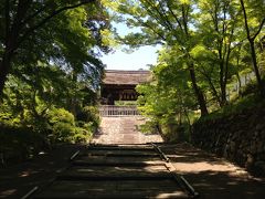 京都の御門跡めぐり１　 新緑の毘沙門堂