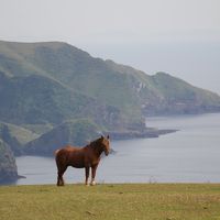 201405-03_GWは隠岐４島を旅する（西ノ島）Nishinoshima island / Shimane